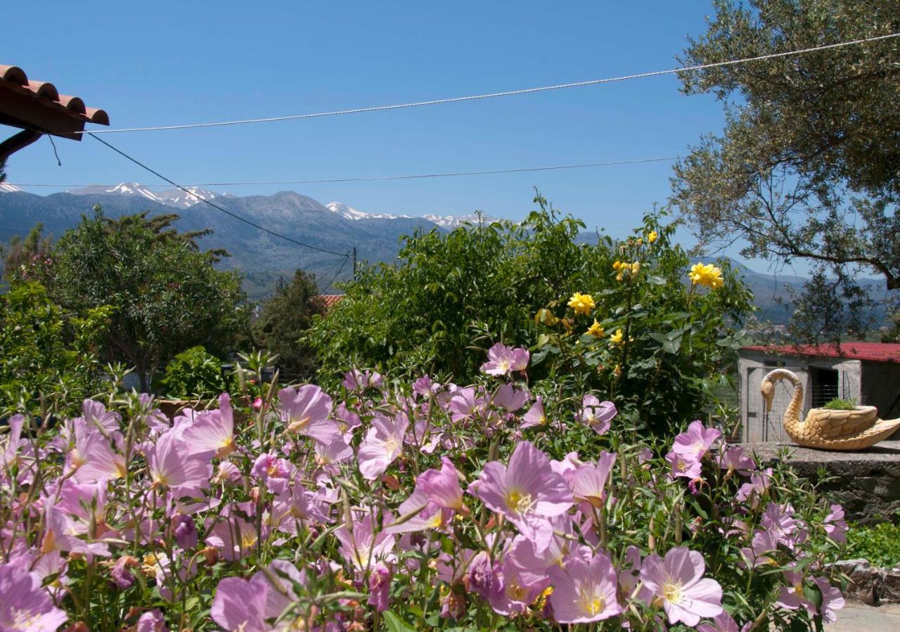 Villa Eternity Alikampos Dış mekan fotoğraf