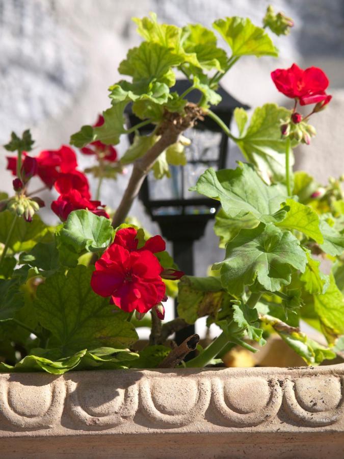 Villa Eternity Alikampos Dış mekan fotoğraf